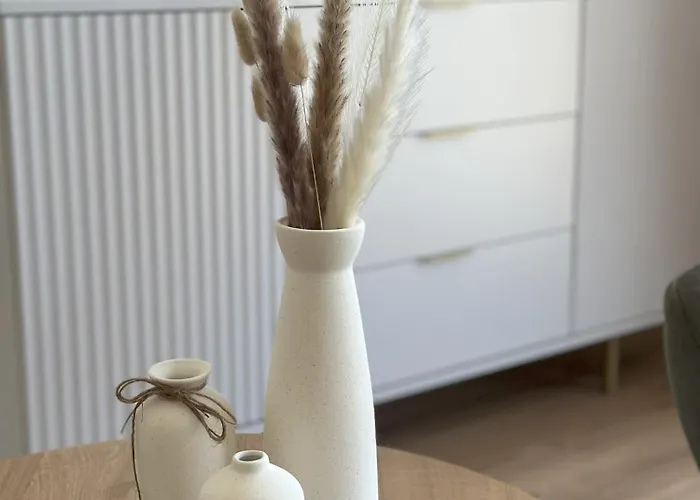 公寓 Moselvilla Thiesen 科赫姆